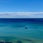 Ersteller:in Gesine Profilbild