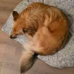 Ersteller:in Katharina Profilbild