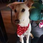 Ersteller:in Caro Profilbild