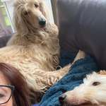 Ersteller:in Brigitte Profilbild