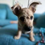 Ersteller:in Sabine & Profilbild