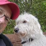 Ersteller:in Stefan Profilbild