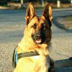 Ersteller:in Jacqueline Profilbild