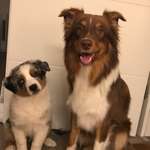 Ersteller:in Julia Profilbild