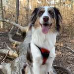 Ersteller:in Melih Profilbild