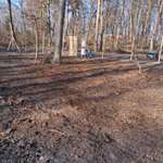 Hundeauslaufgebiet-Freilaufhundeplatz-Bild