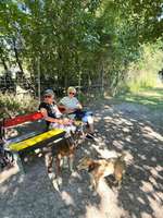 Hundeauslaufgebiet-Hundepark Großniedesheim-Bild