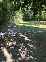 Hundeauslaufgebiet-Hundepark Großniedesheim-Bild