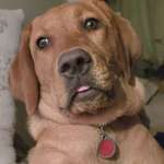 Ersteller:in Arthi Profilbild