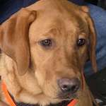 Ersteller:in Arthi Profilbild