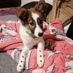 Ersteller:in Maryśka Ela Profilbild