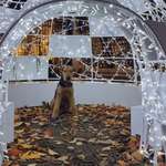 Ersteller:in Vivian Profilbild