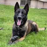 Ersteller:in Ace Profilbild