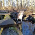 Ersteller:in AL Profilbild