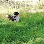 Ersteller:in Steffi Profilbild