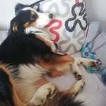 Ersteller:in Steffi Profilbild