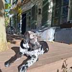 Ersteller:in Sina Profilbild