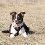 Ersteller:in Selina Profilbild