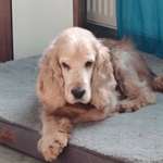 Ersteller:in Kathi Profilbild