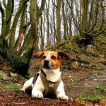 Ersteller:in Melanie Profilbild