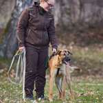 Ersteller:in Alia Profilbild