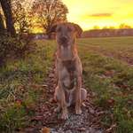 Ersteller:in Alia Profilbild