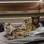 Ersteller:in Ta Profilbild