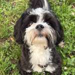 Ersteller:in Elke Profilbild