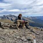 Ersteller:in Fabiola Profilbild