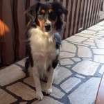 Ersteller:in Jutta Profilbild