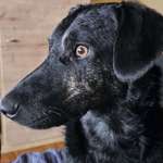 Ersteller:in Stefanie Profilbild