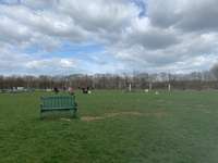 Hundeauslaufgebiet-Hundefreilauf Bünde-Bild