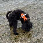 Ersteller:in Christiane Profilbild