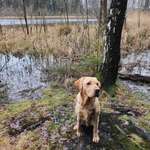 Ersteller:in Wilbur Profilbild