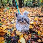 Ersteller:in Anna Profilbild