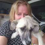 Ersteller:in Simone Profilbild