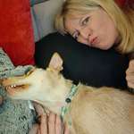 Ersteller:in Katharina Profilbild