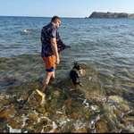 Ersteller:in Monkey D. Profilbild