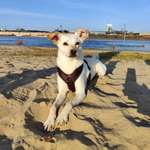 Ersteller:in Christian Profilbild