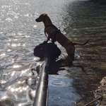 Ersteller:in Nadine Profilbild