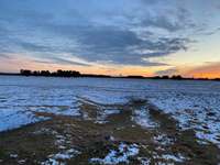 Hundeauslaufgebiet-Panzerwiese-Bild