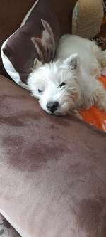 Epilepsie, Krampfanfälle-Beitrag-Bild