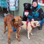 Ersteller:in Andrea Profilbild