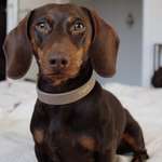 Ersteller:in Elli Profilbild