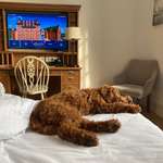 Ersteller:in Salina Profilbild