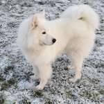 Ersteller:in Regina Profilbild