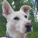 Ersteller:in Ulrike Profilbild