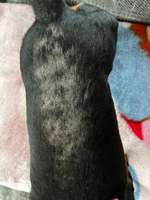 Demodex-Erkrankung – hat jemand Erfahrung oder Tipps?-Beitrag-Bild