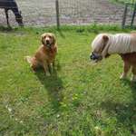 Ersteller:in Stefanie Profilbild