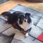 Ersteller:in Helga Profilbild